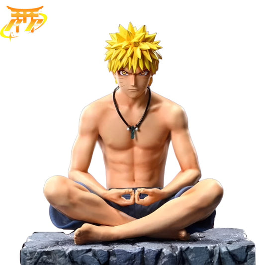 Naruto Pustelnik Figurka - Naruto Shippuden™