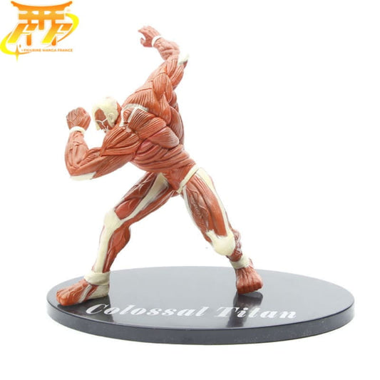 Titan Colossal Figurka - Attack on Titan™